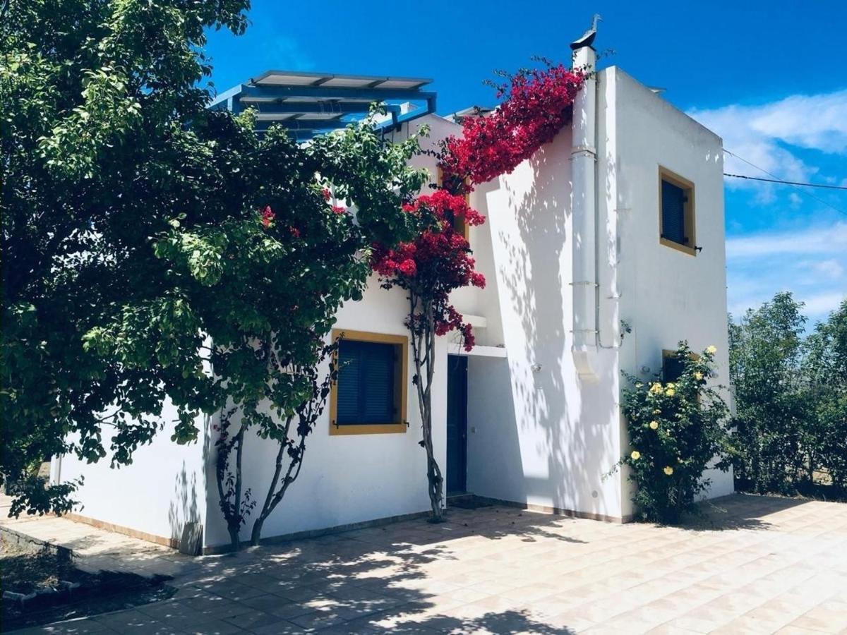 Electra Village House Apolakkia Extérieur photo